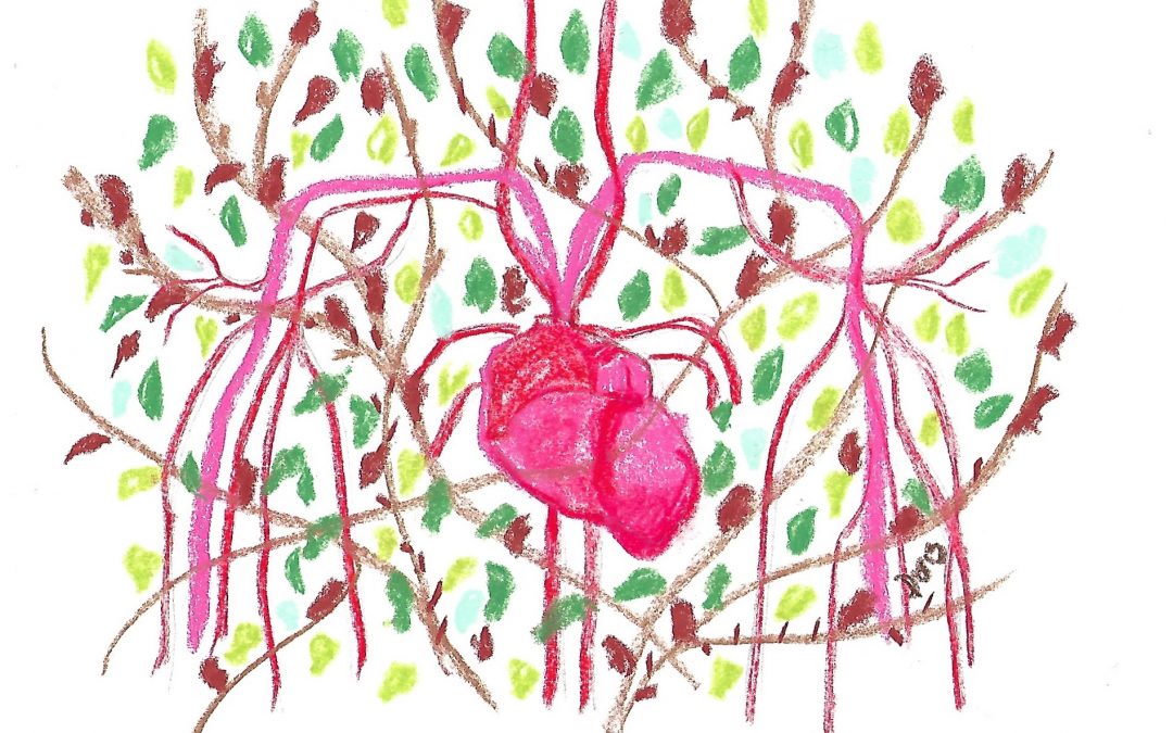 Entre les feux et les tempêtes, un appel de la voix des pierres