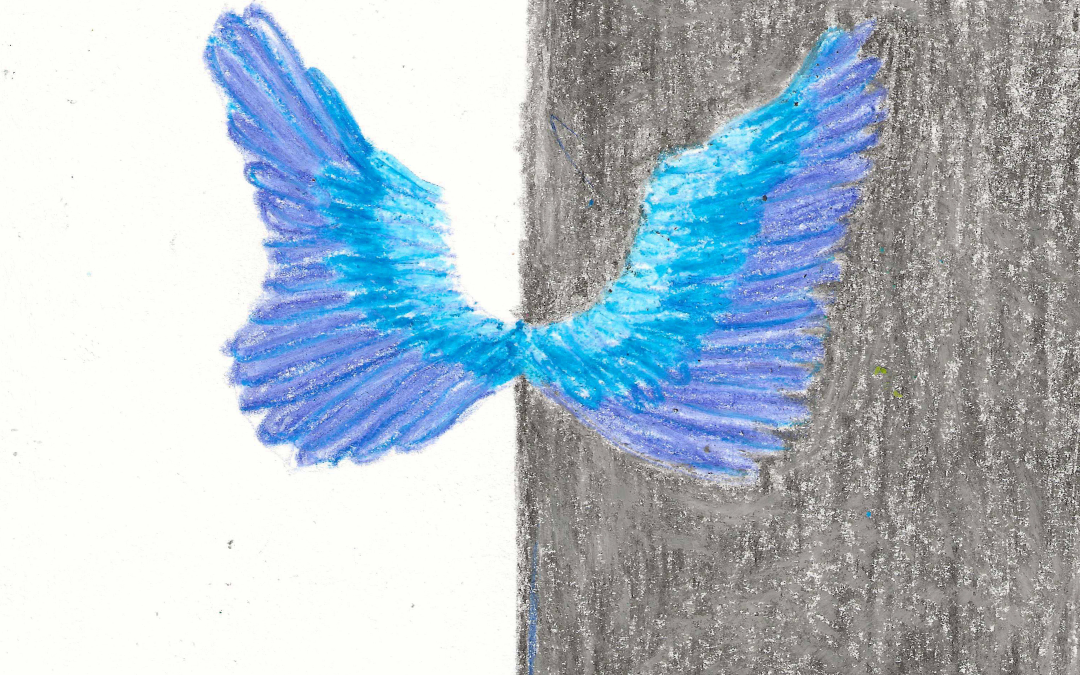 Doce bordados a la altura del corazón