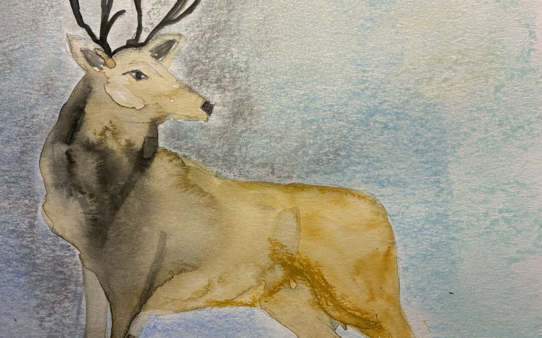 Décimo día de adviento