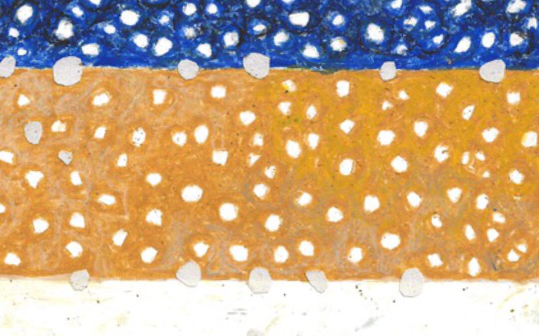 Primer día de adviento