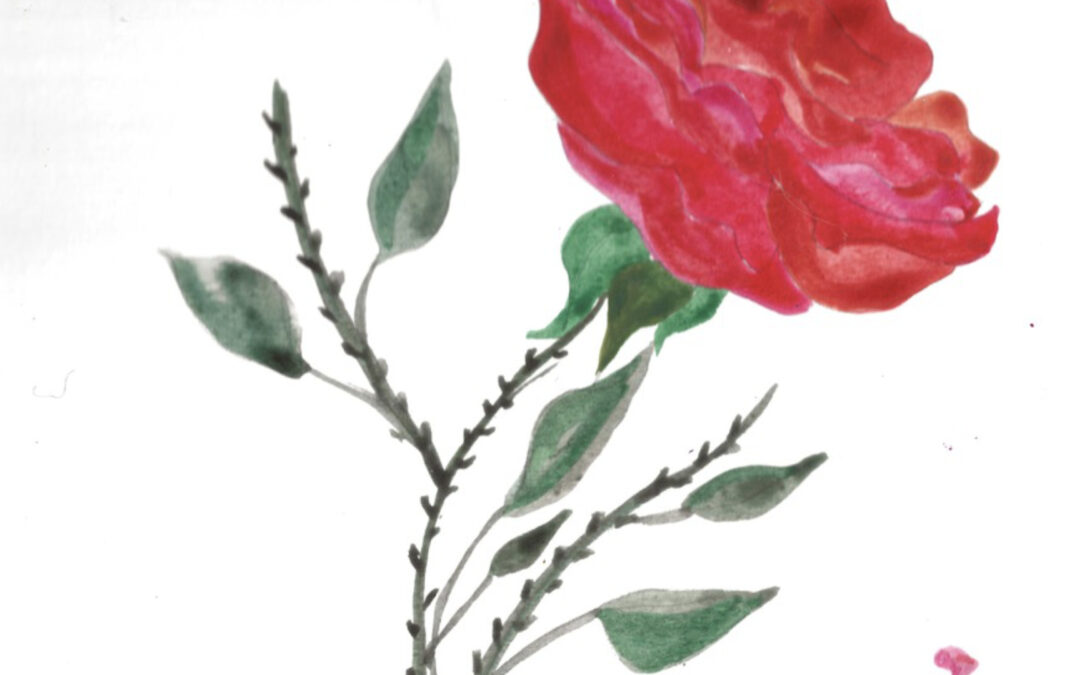 Décimo tercer día de adviento